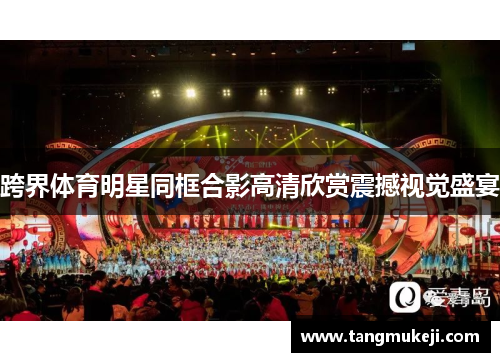 跨界体育明星同框合影高清欣赏震撼视觉盛宴 跨界体育明星同框合影高清欣赏震撼视觉盛宴