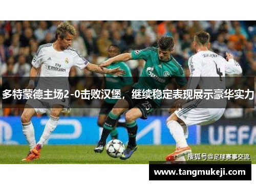 多特蒙德主场2-0击败汉堡，继续稳定表现展示豪华实力