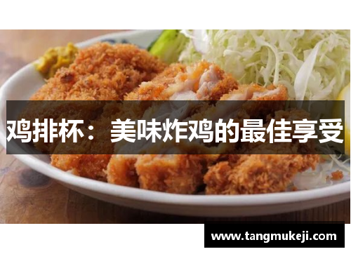 鸡排杯：美味炸鸡的最佳享受